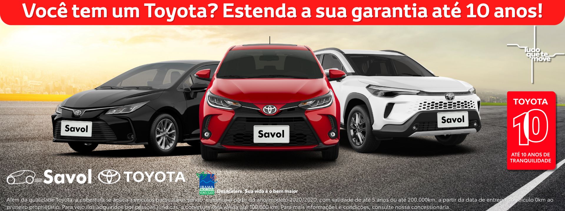 www.savol.com.br